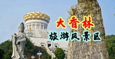 插射精寡r网站中国浙江-绍兴大香林旅游风景区